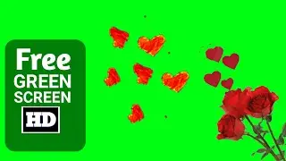 Latest new rose heart effect green screen video | Heart effect green screen | Free green screen HD