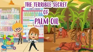 THE SECRET OF PALM OIL | Educational Videos for Kids