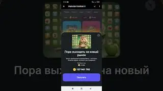 11 - 12  СЕНТЯБРЯ КОМБО КАРТЫ в Хамстер Комбат!   КАК ПОЛУЧИТЬ МОНЕТЫ В HAMSTER KOMBAT!