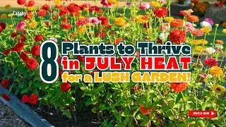 TOP 8 PLANTS to THRIVE in JULY HEAT for a LUSH GARDEN! 🌿🌱🌻 // Gardening Tips