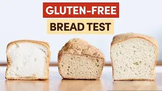 The Gluten-free Bread Test | Robyn's Gluten-free Baking Courses