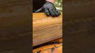 ВПЕРВЫЕ 🐟 ОСЕТР И НЕЛЬМА #рыбец64 #доставка #еда