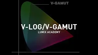 LUMIX Academy S1H | 13 Undertstaning V LOG and V GAMUT