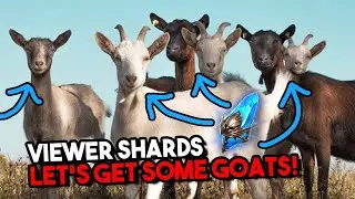 Viewer Shards GOAT EDITION!! | Raid Shadow Legends