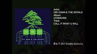 Ori Kawa & The Entals - Call It What U Will