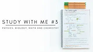 Study with me | Physics, biology, math and chemistry | studytee