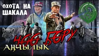 Охоата на Шакала Кыргызстан