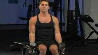 Seated Dumbbell Hammer Curls