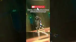 #genshinimpact