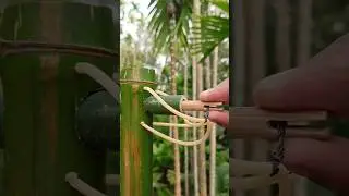 Bamboo creations 