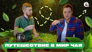 Как проводить восточную чайную церемонию?