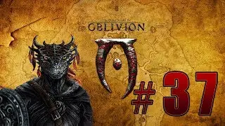 Прохождение The Elder Scrolls 4: Oblivion (TES 4) - Прибытие в Чейдинхол #37