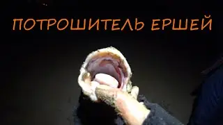 ПОТРОШИТЕЛЬ ЕРШЕЙ / ЛОВЛЮ НАЛИМА И РАДУЮСЬ 