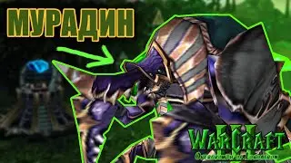#10 Берега Ашенваля / Warcraft 3 Overgrowth of Lordaeron прохождение