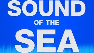 Sea Sound Effects - Sound of the Sea Waves - Water  Ocean Calming Waves SFX