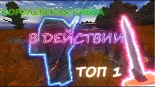 STALCRAFT КОРОЛЕВСКИЕ БИТВЫ: Нарезка топ 1 (Накопилось) #2