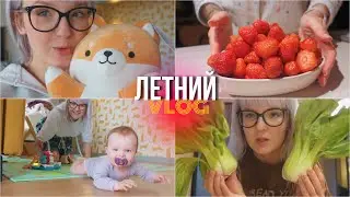 ЛЕТНИЙ ВЛОГ: Пропали кошки? 😳 Покупки в ЗЯ, Неожиданный Подарок, Кукинг ПОК ЧОЙ 😻🥬