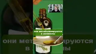 Польза полипренолов для организма человека
