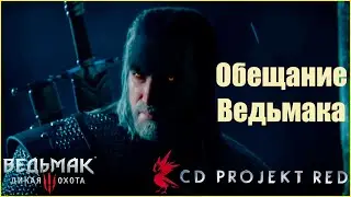 Ведьмак 3 Обещание ведьмака убить Ориану