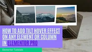 How to add tilt hover effect on any element or column In Elementor Pro | Elementor Tutorials