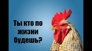 Для кого международный мужской день