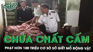 Phạt Hơn 100 Triệu Đồng Cơ Sở Giết Mổ Động Vật Chứa Chất Cấm I SKĐS