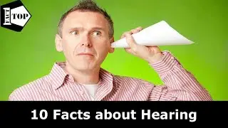 10 Facts About Hearing - Hearing Loss and Tinnitus