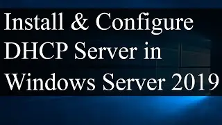 Install and Configure DHCP Server in Windows Server 2019 | Windows 11 DHCP client