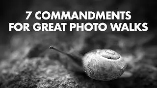 7 Commandments for Great Photo Walks