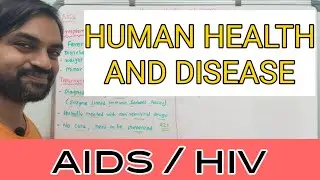 Human and Health and Disease | Aids