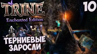 Trine Enchanted Edition - Прохождение Глава 10 - Терниевые Заросли
