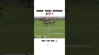 Horse take revenge 🙂❤️