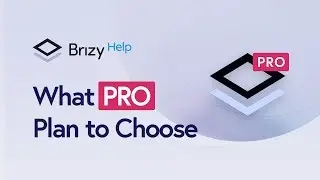 What Brizy PRO Plan to Choose?