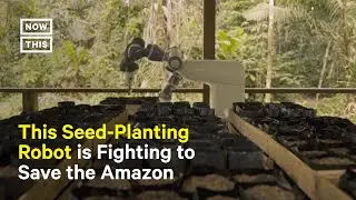 YuMi Robot Plants Seeds in Fight to Save Amazon Rainforest