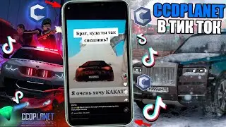 ЧТО СНИМАЮТ ИГРОКИ CCDPLANET В TIKTOK?!Я В ШОКЕ!ПОЛНАЯ РЖАКА!!! МТА