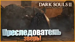 [1] Боль и страдания в Dark Souls 2