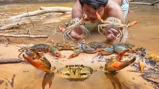 Amazing Catching Giant Crabs In River and Cooking Crabs Soup Eating Delicious