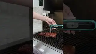Grill Girl Digital Meat Thermometer | FabFitFun Summer 2023 Box Spoiler