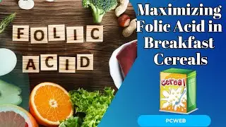 Maximizing Folic Acid in Breakfast Cereals for Deficiency Prevention