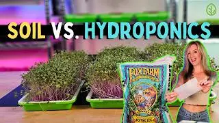 Growing Microgreens in SOIL vs. HYDROPONICS with ONLY WATER