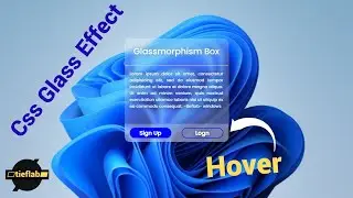 Glass Effect in HTML and CSS | Glassmorphism 🔥