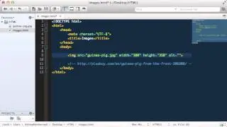 Working with Images in HTML Coding  |  HTML Tutorials