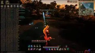 Black Desert желающие на китов