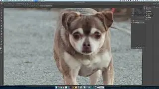 Introduction to Photoshop, Image Size, and Resolution - Digital Foundations