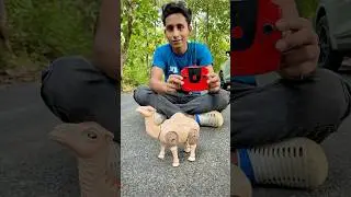 Rc Remote Control Camel Unboxing🔥🐪