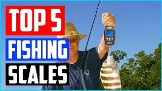 Top 5 Best Fishing Scales in 2023