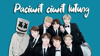 PACIWIT CIWIT LUTUNG - BTS FT MARSHMELLO ( parodi live )