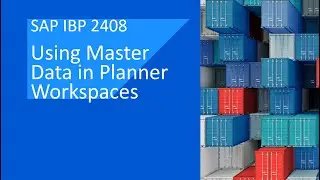 Using Master Data in Planner Workspaces | SAP IBP 2408