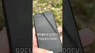 Это решает торг на авито