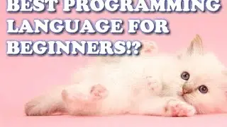 Best Programming Language?